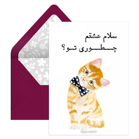 سلام عشقم