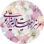 خانم حسینی