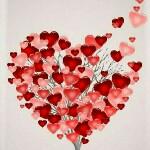 ♡setayesh♡