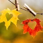 Fatemeh K